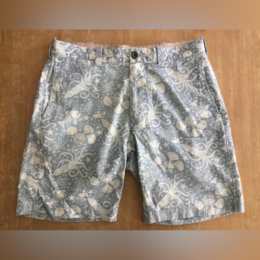J. Crew Stanton Shorts (30)